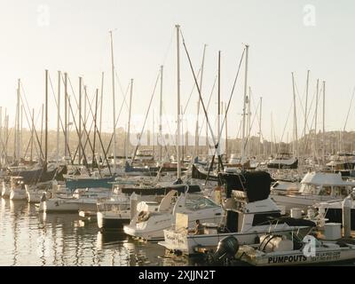 bateaux amarrés à une marina au coucher du soleil Banque D'Images