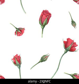 Roses rouges. Fleurs et bourgeons uniques volants. Modèle sans couture avec rose écarlate de jardin. Fleur florissante. Illustration aquarelle de plantes d'été. Banque D'Images