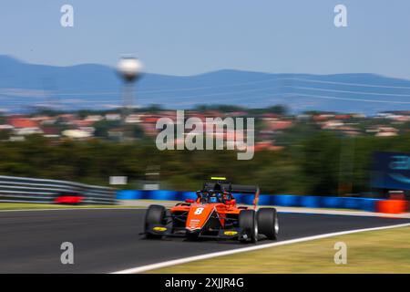 08 SZTUKA Kacper (pol), MP Motorsport, Dallara F3 2019, action lors de la 8ème manche du Championnat FIA de formule 3 2024 du 19 au 21 juillet 2024 sur le Hungaroring, à Mogyorod, Hongrie - photo Eric Alonso / DPPI Banque D'Images
