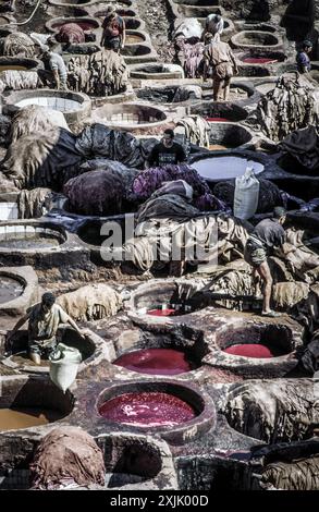 Tanneries (Souk Dabbaghin). Fes el Bali. Fez. Cité impériale. Maroc. Afrique. Banque D'Images