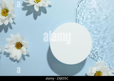 Belles fleurs de Marguerite et podium de forme ronde dans l'eau sur fond bleu clair, pose plate Banque D'Images