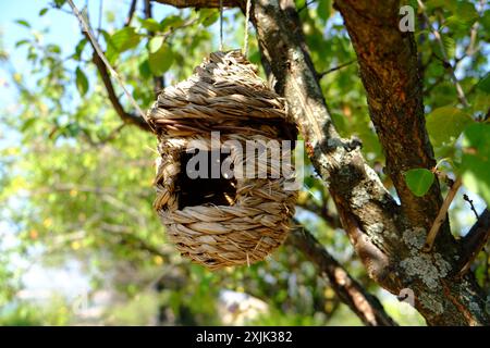 Boîte à oiseaux en osier sur l'arbre dans le jardin Banque D'Images