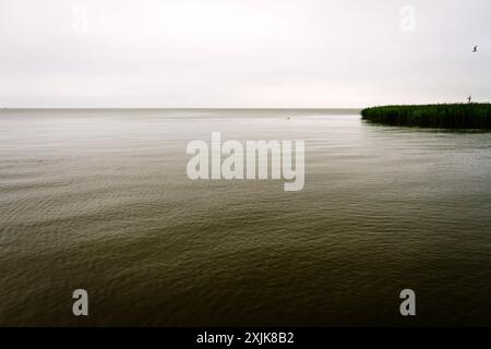 Paysage à la lagune de Curonian par un jour sombre Banque D'Images