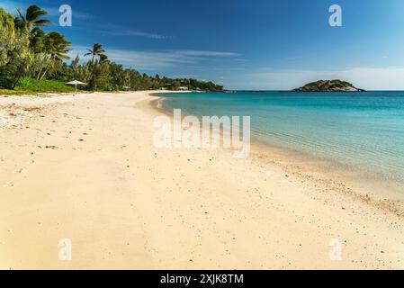 Pittoresque plage tropicale de sable Anchor avec eau turquoise sur Lizard Island. Lizard Island est situé sur la Grande barrière de corail dans la partie nord-est de Q Banque D'Images