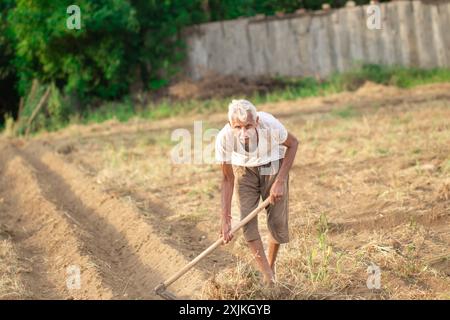 Un homme âgé indien travaillant dans un champ sec utilisant une houe par une journée ensoleillée. Concept de travail acharné, de persévérance et de vie rurale. Banque D'Images