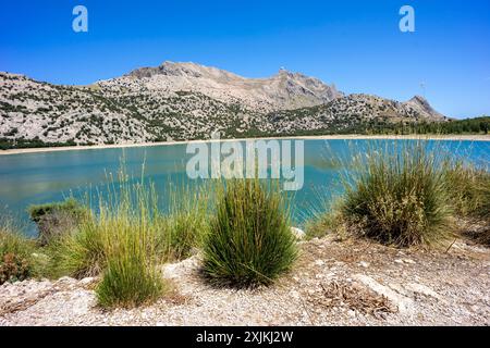 Réservoir Cuber en face de Puig Major de son Torrella, Fornalutx - Escorca, zone naturelle de la Serra de Tramuntana., Majorque, Îles Baléares, Spai Banque D'Images