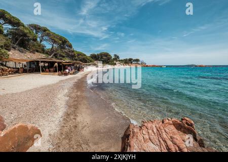 Bar de plage, plage de sable et mer Méditerranée Azur à la plage de Palombaggia sur la côte sud-est de l'île de Corse Banque D'Images