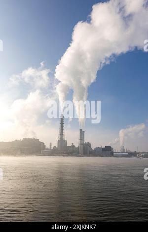 Site de l'usine BASF sur les rives du Rhin, entreprise chimique, brumeux Mood, Ludwigshafen, Rhénanie-Palatinat, Allemagne Banque D'Images