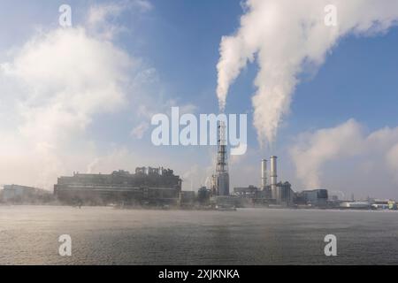 Site de l'usine BASF sur les rives du Rhin, entreprise chimique, brumeux Mood, Ludwigshafen, Rhénanie-Palatinat, Allemagne Banque D'Images