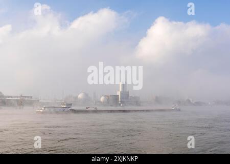 Site de l'usine BASF sur les rives du Rhin, entreprise chimique, cargo, brumeux Mood, Ludwigshafen, Rhénanie-Palatinat, Allemagne Banque D'Images