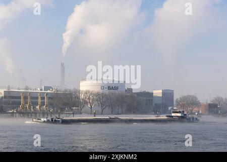 Site de l'usine BASF sur les rives du Rhin, entreprise chimique, cargo, brumeux Mood, Ludwigshafen, Rhénanie-Palatinat, Allemagne Banque D'Images