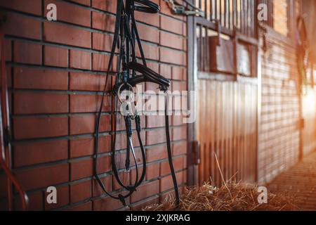 Bride de cheval accrochée au mur d'une écurie équestre, murs de briques brunes, lumière chaude du soleil dans le style d'une écurie équestre Banque D'Images