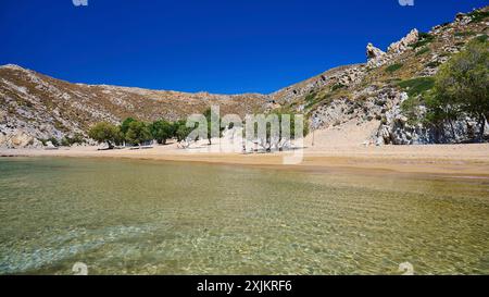 Plage avec de l'eau cristalline et du sable doré, entourée d'arbres et de rochers sous un ciel bleu clair, tamaris, plage de Psili Ammos, Patmos Banque D'Images