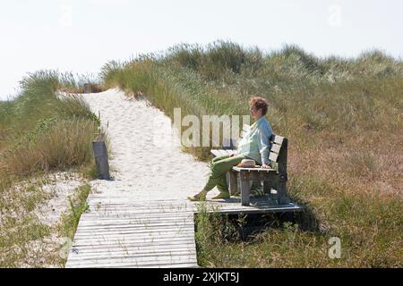 Personnes âgées, femme assise sur le banc, passerelle en bois, roseau, sentier de randonnée circulaire, réserve naturelle, Darsser Ort, né a. Darss Banque D'Images