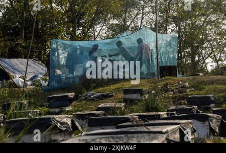 Des apiculteurs travaillant dans une ferme apicole près d’un champ de masturd dans un village du district de Barpeta, dans l’Assam, en Inde, le mercredi 22 décembre 2021. Le Banque D'Images