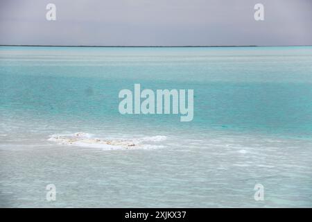 'Splendeur sereine : l'émergence étonnante de la beauté d'Azur du lac Dongtai Jinel' Banque D'Images