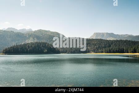 Black Lake, Monténégro sur l'après-midi ensoleillé. Lac de montagne entouré de pins. Lac Crno jezero dans une vallée dans la chaîne de montagnes Durmitor. Banque D'Images