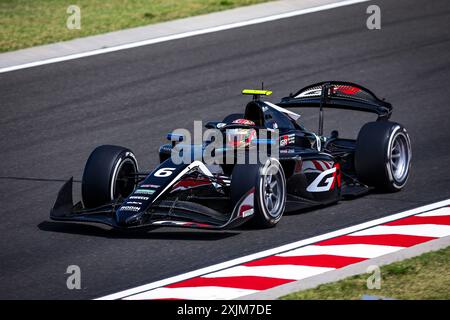 Mogyorod, Hongrie - 17/07/2024, 06 MIYATA Ritomo (jpn), Rodin Motorsport, Dallara F2 2024, action lors de la 9ème manche du Championnat FIA de formule 2 2024 du 19 au 21 juillet 2024 sur le Hungaroring, à Mogyorod, Hongrie - photo Xavi Bonilla / DPPI Banque D'Images