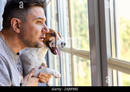 Adorable homme et adorable, joli chiot Jack Russel terrier près de la fenêtre. Gros plan, intérieur. Lumière du jour. Concept de soins, d'éducation, d'obéissance trainin Banque D'Images