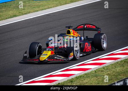 20 HADJAR Isack (fra), Campos Racing, Dallara F2 2024, action lors de la 9ème manche du Championnat FIA de formule 2 2024 du 19 au 21 juillet 2024 sur le Hungaroring, à Mogyorod, Hongrie - photo Xavi Bonilla / DPPI Banque D'Images