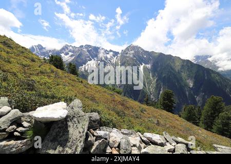 Vue d'une pente de montagne verdoyante envahie sur le Filzenkogel à une chaîne de montagnes puissante dans les Alpes du Zillertal, grand angle, rochers au premier plan Banque D'Images