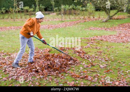 Femme indienne ratissant des feuilles sur l'herbe en automne d'une pelouse dans un grand jardin anglais, Royaume-Uni Banque D'Images