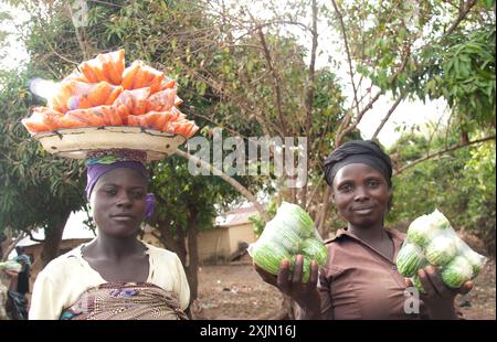 Filles vendant des fruits et des carottes, État de Kaduna, Nigeria, Afrique Banque D'Images