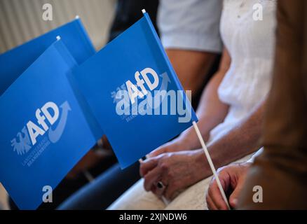 19 juillet 2024, Brandebourg, Werder (Havel) : les participants brandissent des drapeaux lors de l'événement de lancement de l'AFD pour les élections d'État dans le Brandebourg. Photo : Britta Pedersen/dpa Banque D'Images