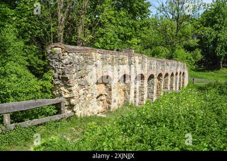 Ruines du château médiéval de Melsztyn, fragment du mur de la Renaissance, Pologne. Banque D'Images