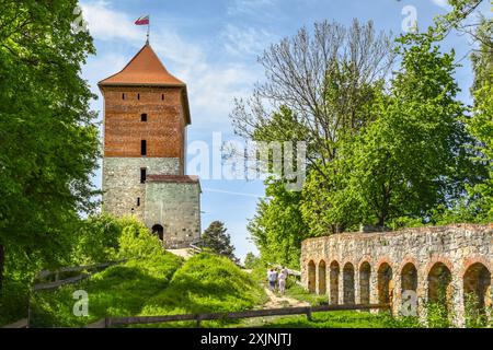 Ruines d'un château médiéval à Melsztyn, Pologne. Banque D'Images