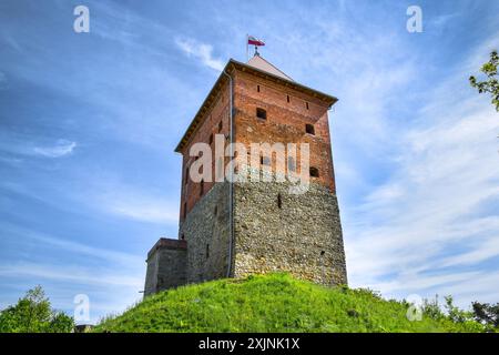 Ruines d'un château médiéval à Melsztyn, Pologne. Banque D'Images