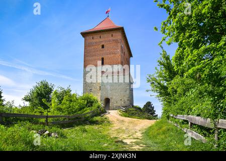 Ruines d'un château médiéval à Melsztyn, Pologne. Banque D'Images