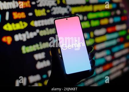 Dans cette illustration photo, le logo Google Gemini est affiché sur l'écran d'un smartphone. Banque D'Images