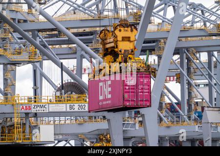 RWG Container terminal, conteneurs en cours de chargement par grue, port maritime de Rotterdam, port en haute mer Maasvlakte 2, sur une zone terrestre artificielle, pays-Bas, Banque D'Images