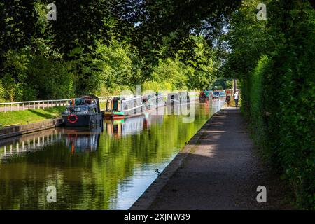 Des bateaux étroits amarrés sur le canal de Coventry approchant de Fradley Junction Staffordshire Banque D'Images