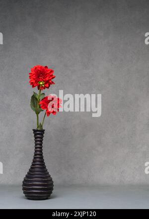 Deux dahlias rouges dans un vase foncé sur fond gris. Nature morte avec des fleurs rouges. Copier l'espace. Banque D'Images