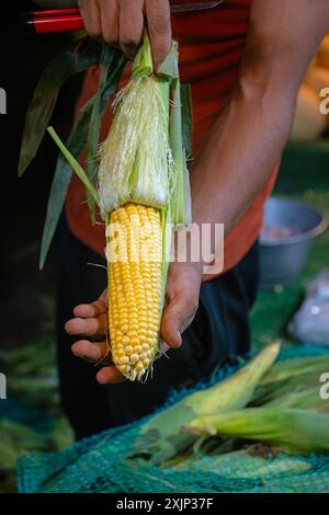 Vendeur de maïs frais au marché. Banque D'Images