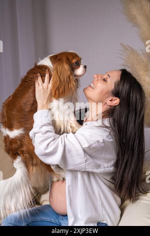 jeune femme enceinte assise sur le canapé à la maison. Riant joyeusement, il joue avec son chien. Cavalier roi charles, épagneul cocker Banque D'Images