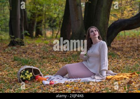 Portrait d'une belle fille souriante avec les cheveux foncés et de grands yeux. Promenade d'automne dans le parc. Une fille est assise, à côté d'un panier avec des pommes, des citrouilles, des fleurs Banque D'Images