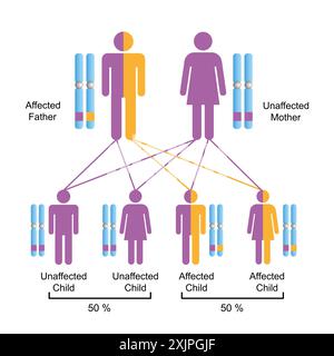 Hérédité autosomique dominante, illustration. Banque D'Images