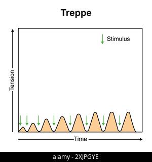 trreppe musclé, illustration. Banque D'Images