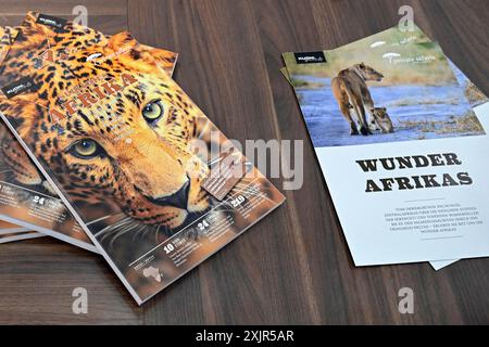 Brochures de voyage Safari Afrique du Sud Banque D'Images