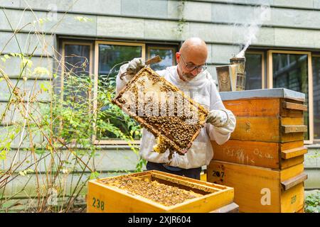 Jens Ardelt ayant une ruche. Depuis le début de 2023, 500, 000 nouveaux employés travaillent au ministère saxon du travail : huit abeilles Banque D'Images