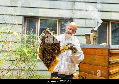 Jens Ardelt ayant une ruche. Depuis le début de 2023, 500, 000 nouveaux employés travaillent au ministère saxon du travail : huit abeilles Banque D'Images