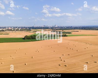 Ernte Die Getreidefelder im Nordwesten von Frankfurt am main wurden abgeerntet. Auf den Äckern liegen Rundballen aus Stroh. Luftbild mit einer Drohne Frankfurt am main Hessen Deutschland *** récolte les champs de céréales du nord-ouest de Francfort-sur-le-main ont été récoltés il y a des balles rondes de paille dans les champs vue aérienne avec un drone Frankfurt am main Hesse Allemagne 2024-07-19 FFM rhein-main ernte 01 Banque D'Images