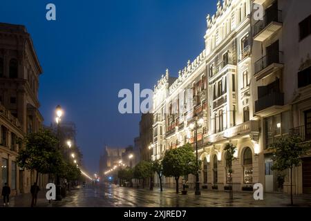 Vue sur l'avenue Constitución dans le centre historique de Séville, la capitale et la plus grande ville d'Andalousie, capturée lors d'un lever de soleil brumeux Banque D'Images