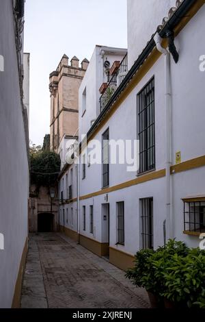 Détail de Santa Cruz, quartier touristique principal de Séville, Espagne, et ancien quartier juif de la ville médiévale situé dans le centre historique Banque D'Images