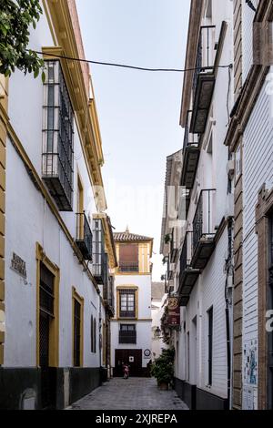 Détail de Santa Cruz, quartier touristique principal de Séville, Espagne, et ancien quartier juif de la ville médiévale situé dans le centre historique Banque D'Images