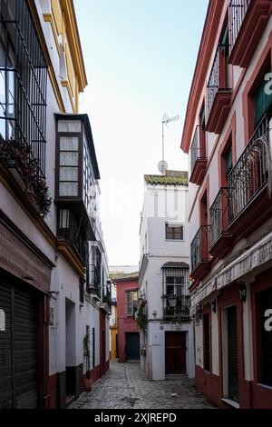 Détail de Santa Cruz, quartier touristique principal de Séville, Espagne, et ancien quartier juif de la ville médiévale situé dans le centre historique Banque D'Images