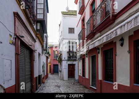 Détail de Santa Cruz, quartier touristique principal de Séville, Espagne, et ancien quartier juif de la ville médiévale situé dans le centre historique Banque D'Images